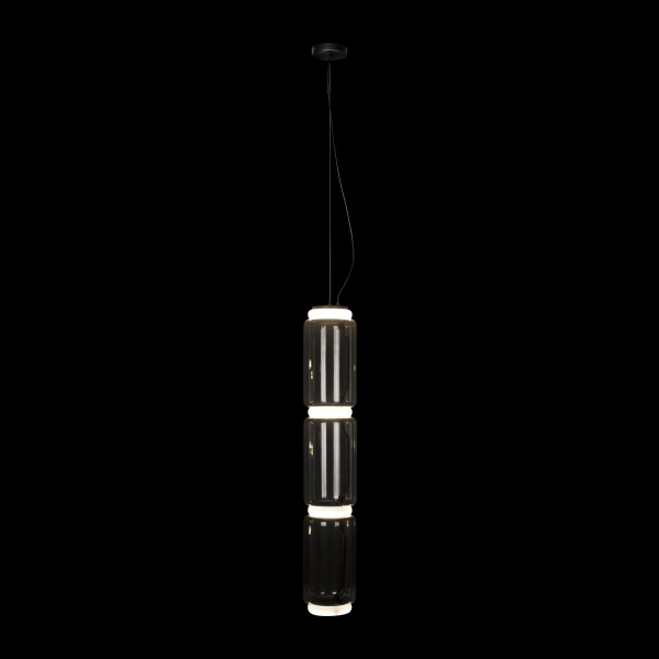 10194/L Подвесной светильник LOFT IT Noctambule, изображение 4