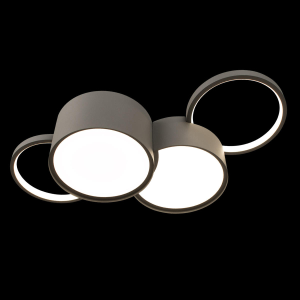 10317/4 Grey Потолочный светильник LOFT IT Pin, изображение 4