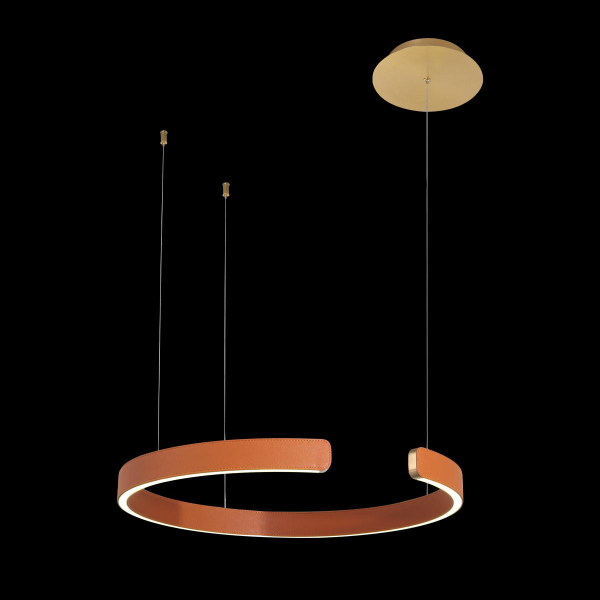 10025/400 Orange Подвесной светильник LOFT IT Ring, изображение 2