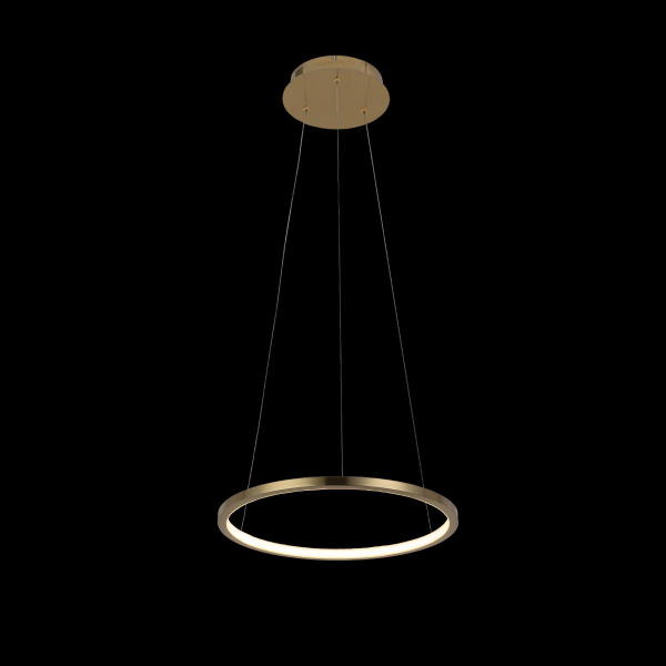 10014S Подвесной светильник LOFT IT Ring, изображение 2