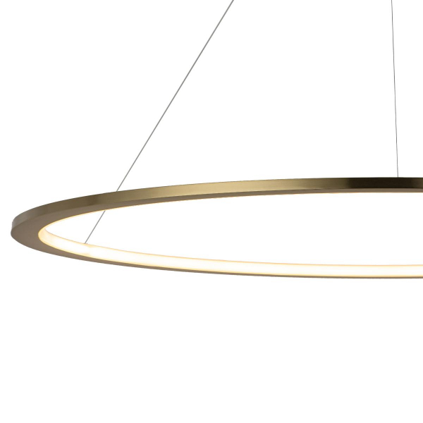 10014XXL Подвесной светильник LOFT IT Ring, изображение 5