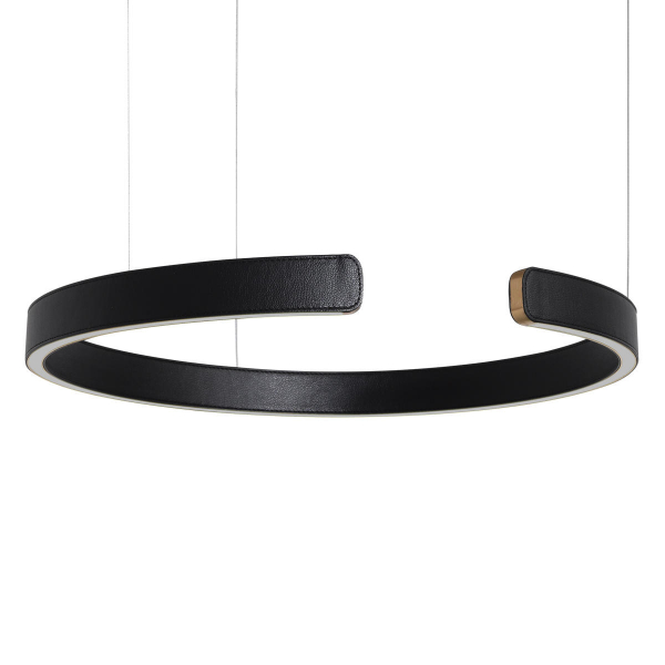 10025/600 Black Подвесной светильник LOFT IT Ring, изображение 3