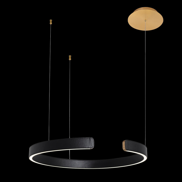 10025/600 Black Подвесной светильник LOFT IT Ring, изображение 2