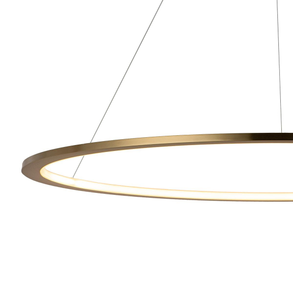 10014L Подвесной светильник LOFT IT Ring, изображение 5