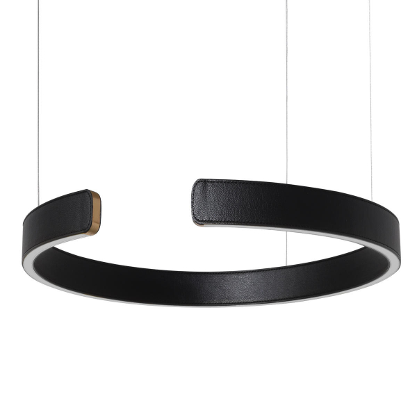 10025/400 Black Подвесной светильник LOFT IT Ring, изображение 3