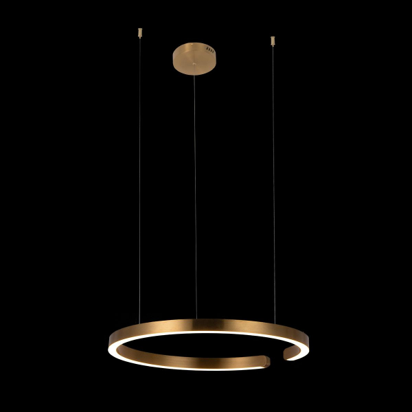 10013L Подвесной светильник LOFT IT Ring, изображение 2