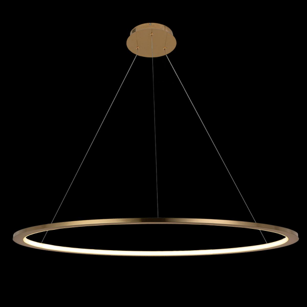 10014XL Подвесной светильник LOFT IT Ring, изображение 4