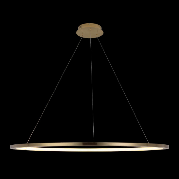 10014XXL Подвесной светильник LOFT IT Ring, изображение 4