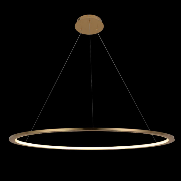 10014L Подвесной светильник LOFT IT Ring, изображение 4