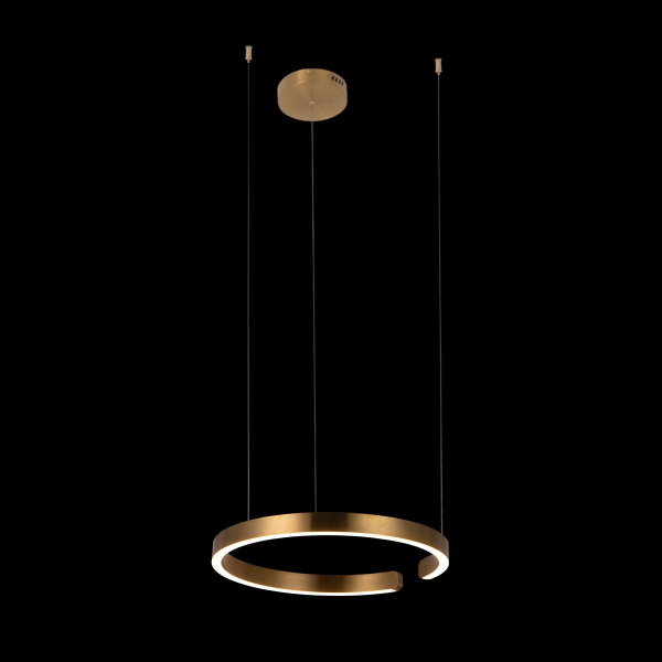 10013M Подвесной светильник LOFT IT Ring, изображение 2