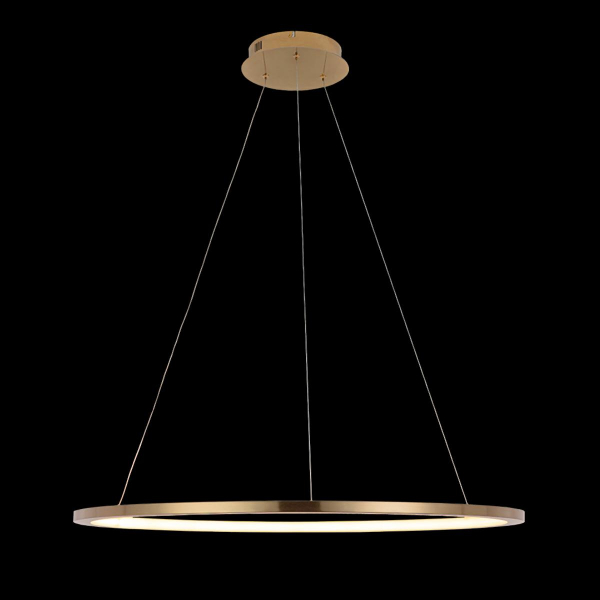 10014L Подвесной светильник LOFT IT Ring, изображение 2