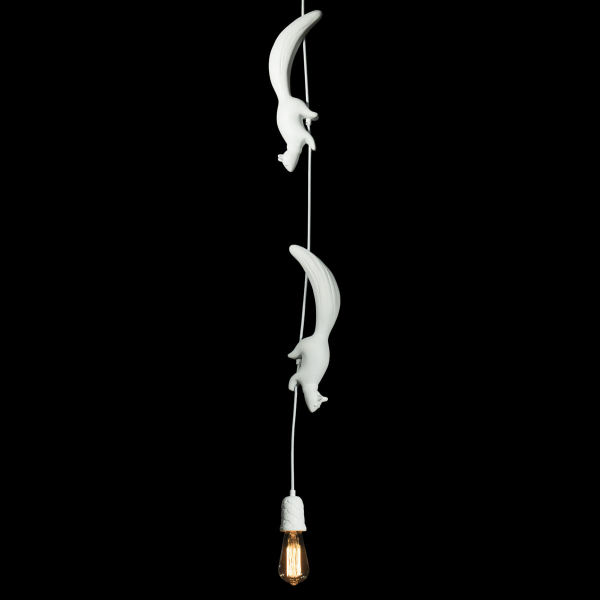 10093 Подвесной светильник LOFT IT Sherwood, изображение 4