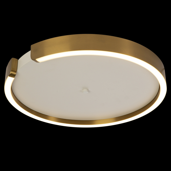 10026 Потолочный светильник LOFT IT Ring, изображение 2