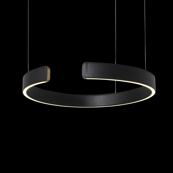10025/400 Black Подвесной светильник LOFT IT Ring, изображение 4