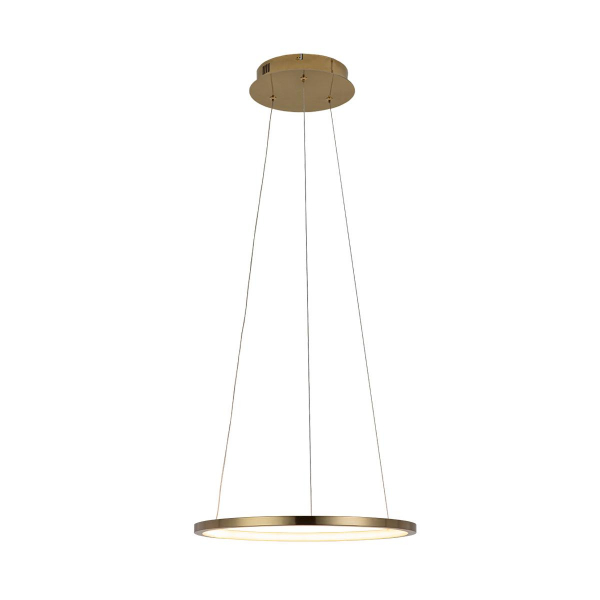 10014S Подвесной светильник LOFT IT Ring, изображение 3