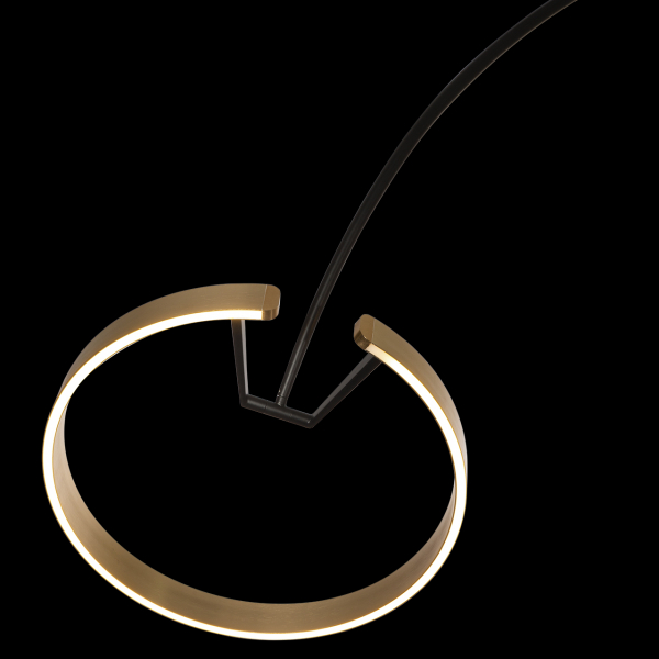 10027 Торшер LOFT IT Ring, изображение 4