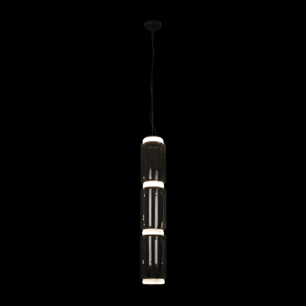 10194/L Подвесной светильник LOFT IT Noctambule, изображение 2