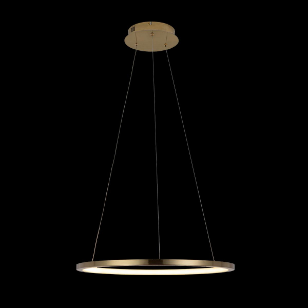 10014M Подвесной светильник LOFT IT Ring, изображение 4