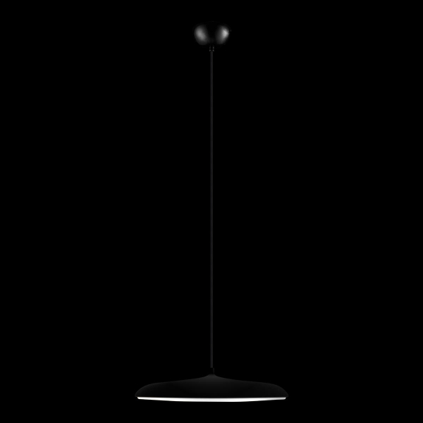 10119 Black Подвесной светильник LOFT IT Plato, изображение 2