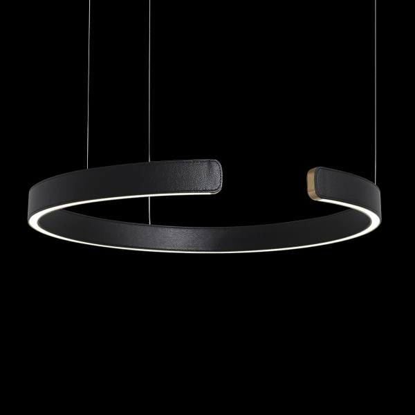 10025/600 Black Подвесной светильник LOFT IT Ring, изображение 4