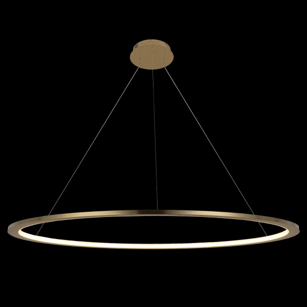 10014XXL Подвесной светильник LOFT IT Ring, изображение 2