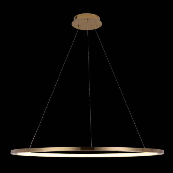 10014XL Подвесной светильник LOFT IT Ring, изображение 2