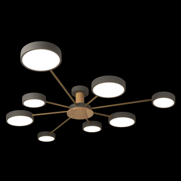 10316/8 Grey Потолочный светильник LOFT IT Sunrise, изображение 2