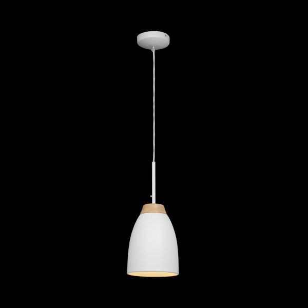 LOFT4402A-WH Подвесной светильник LOFT IT Watchman, изображение 2