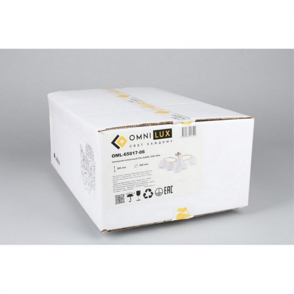 OML-65017-06, изображение 12