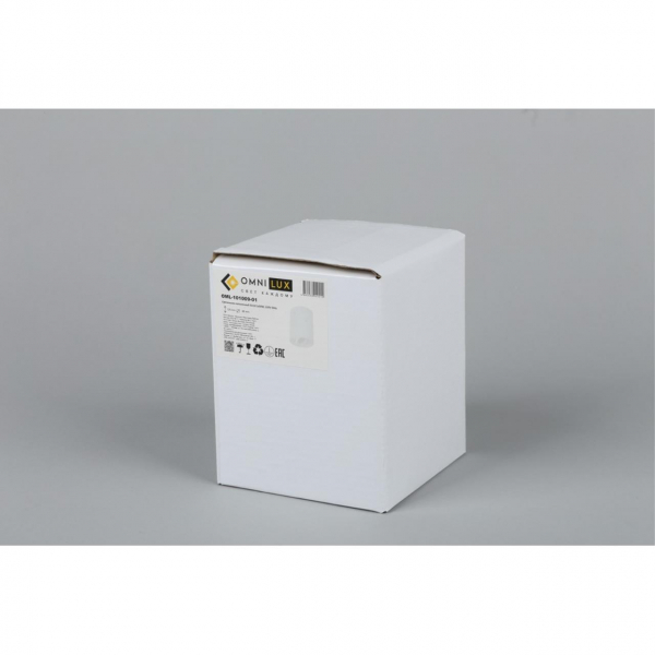 OML-101009-01, изображение 4