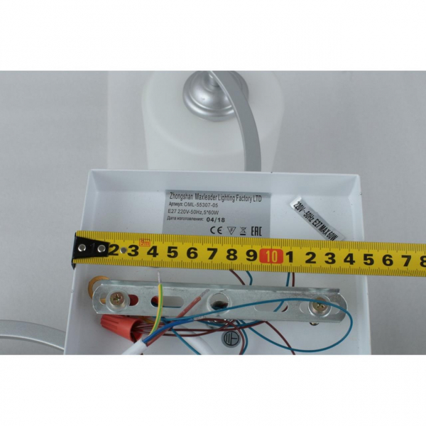 OML-55307-05, изображение 3
