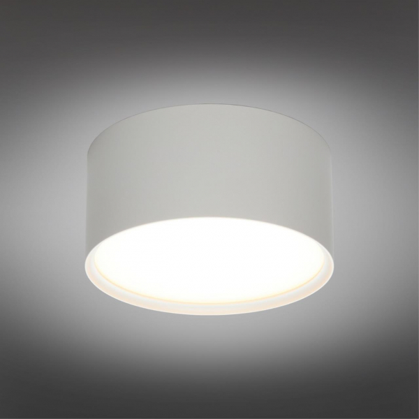 OML-103309-12, изображение 2