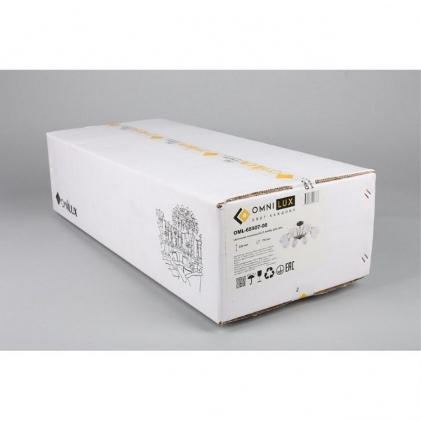 OML-65507-08, изображение 9
