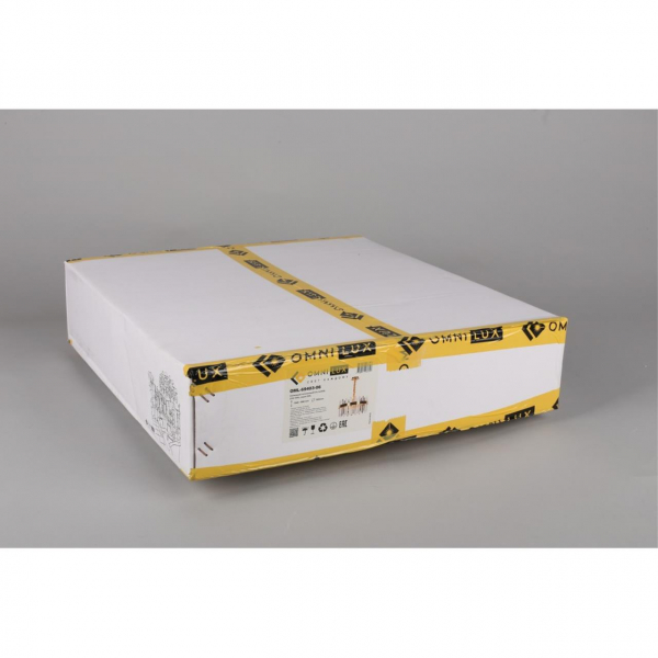 OML-69403-06, изображение 8