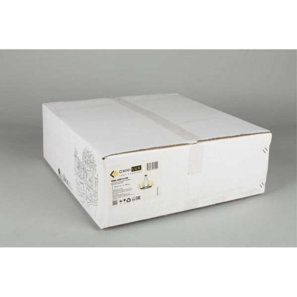OML-68613-08, изображение 9
