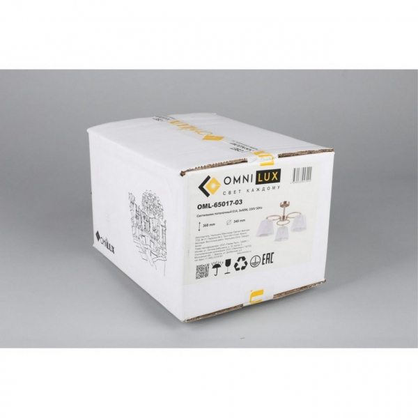 OML-65017-03, изображение 8