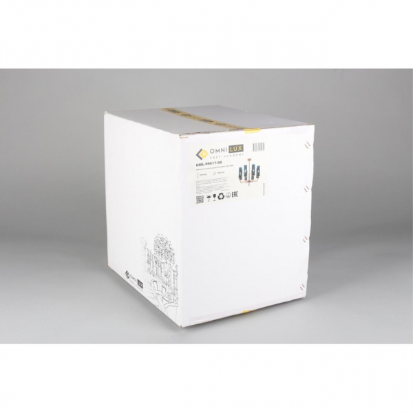 OML-99617-08, изображение 10