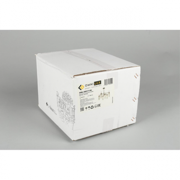 OML-68517-06, изображение 12