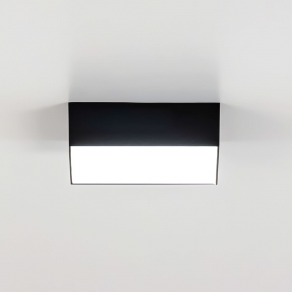 Citilux Тао CL712X122N LED Светильник потолочный с диммером Чёрный, изображение 6
