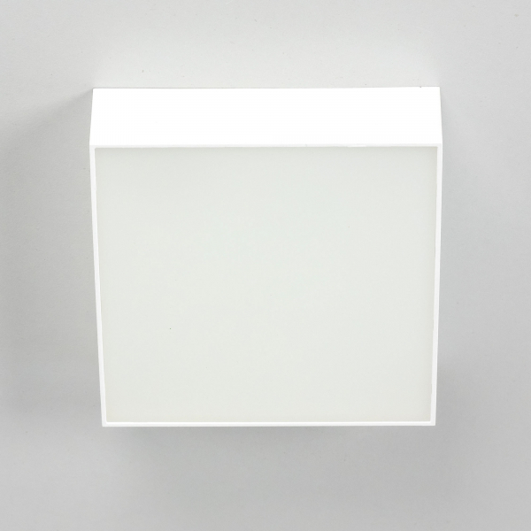 Citilux Тао CL712X120N LED Светильник потолочный с диммером Белый, изображение 3