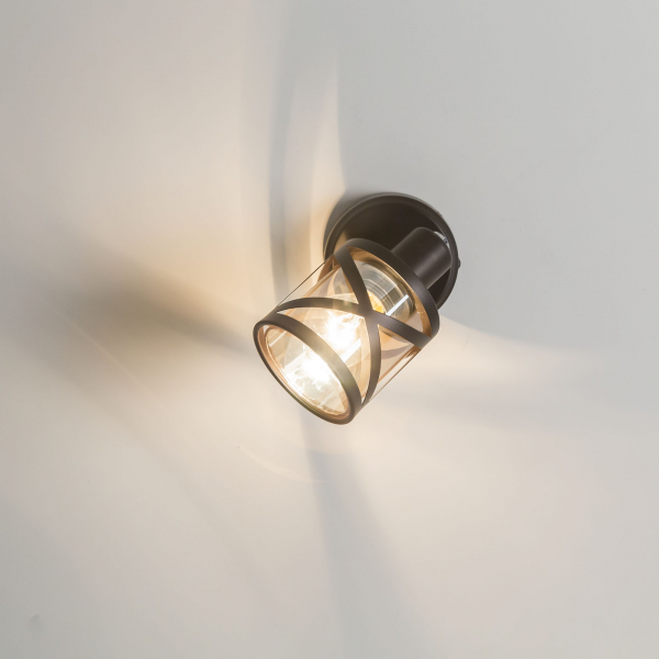 Citilux Гессен CL536615 Спот поворотный с выключателем Венге, изображение 6