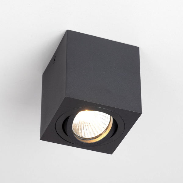 Citilux Дюрен CL538213 Светильник накладной поворотный Чёрный, изображение 3
