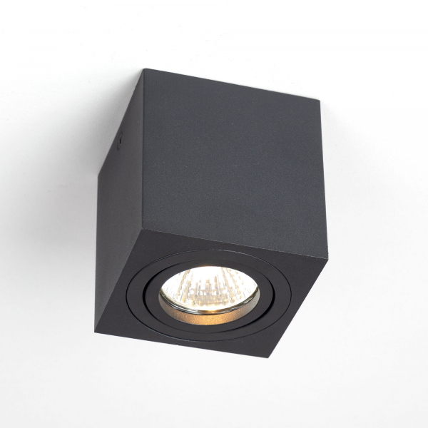 Citilux Дюрен CL538213 Светильник накладной поворотный Чёрный, изображение 6