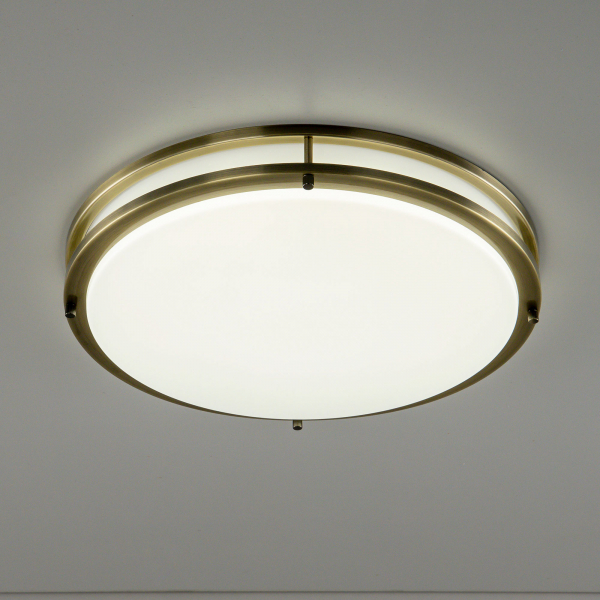 Citilux Бостон CL709503N LED Люстра с диммером Бронза, изображение 4