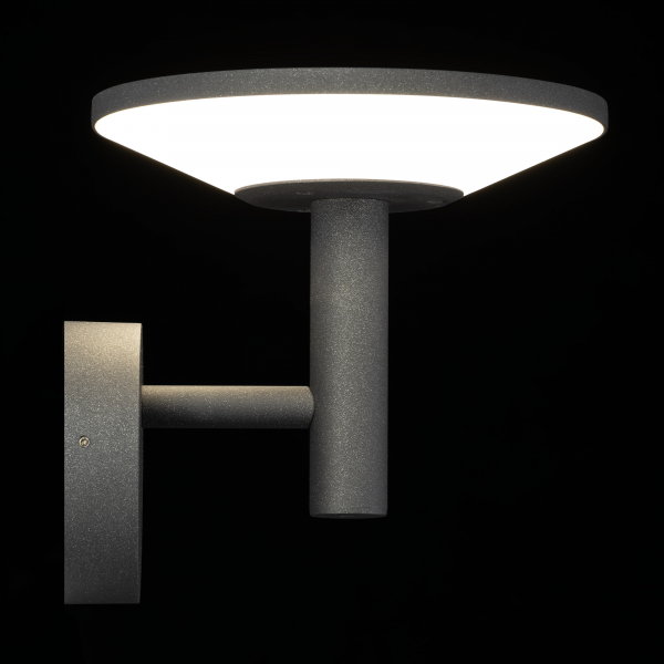 Citilux Dorn CLU05W LED Уличный настенный светильник Графит, изображение 6