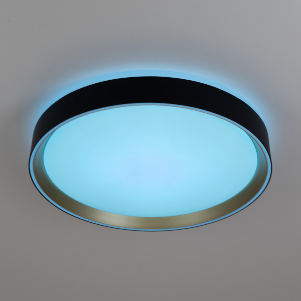 Citilux BOSS CL751351G LED RGB Светильник с пультом Чёрный с Золотом, изображение 7