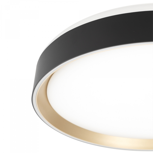 Citilux BOSS CL751351G LED RGB Светильник с пультом Чёрный с Золотом, изображение 10