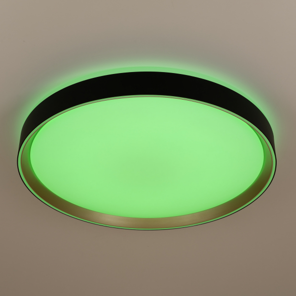 Citilux BOSS CL751451G LED RGB Светильник с пультом Чёрный с Золотом, изображение 8