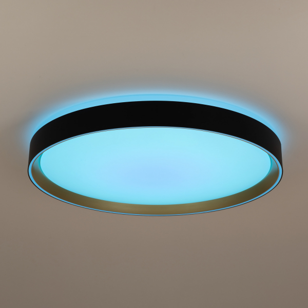 Citilux BOSS CL751451G LED RGB Светильник с пультом Чёрный с Золотом, изображение 9