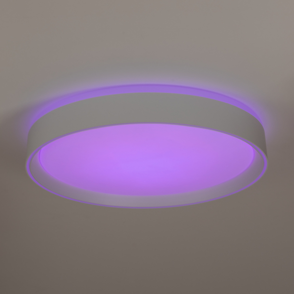 Citilux BOSS CL751350G LED RGB Светильник с пультом Белый, изображение 4